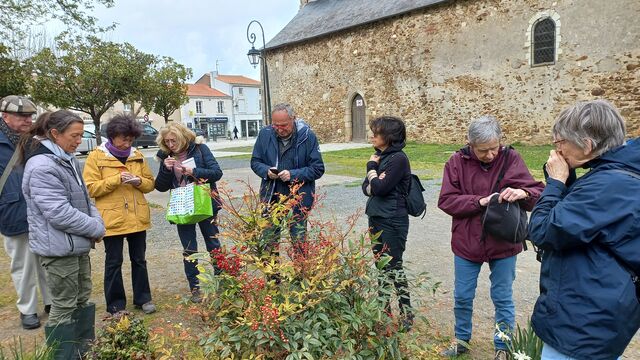 sortie botanique 2023