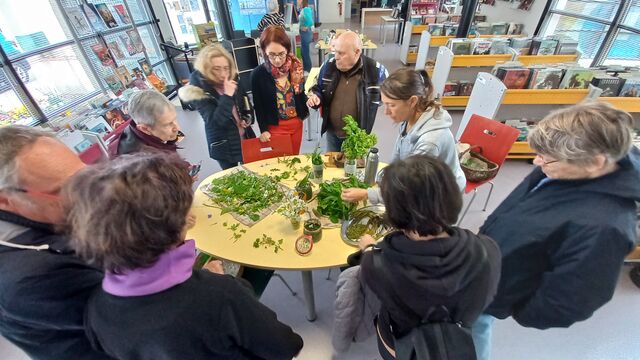 groupe><br><br>		
	</P>
	<P class=