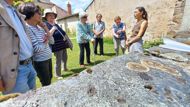sortie botanique 2023