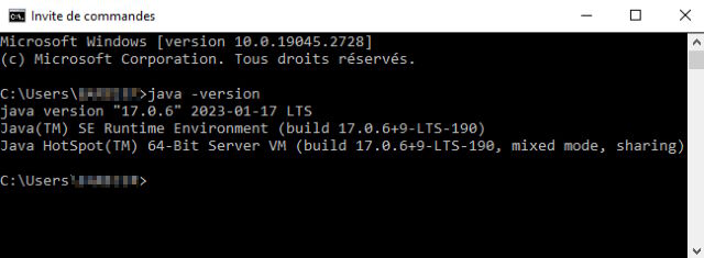 vérification java sous windows