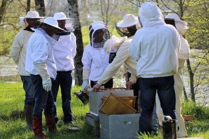 au rucher ecole de Venansault