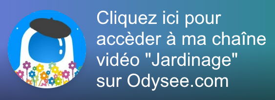 vers ma chaîne vidéo Jardinage sur Odysee.com