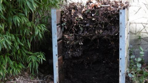Récupération du compost de l'année
