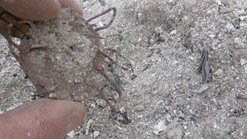 suppression des ferrailles