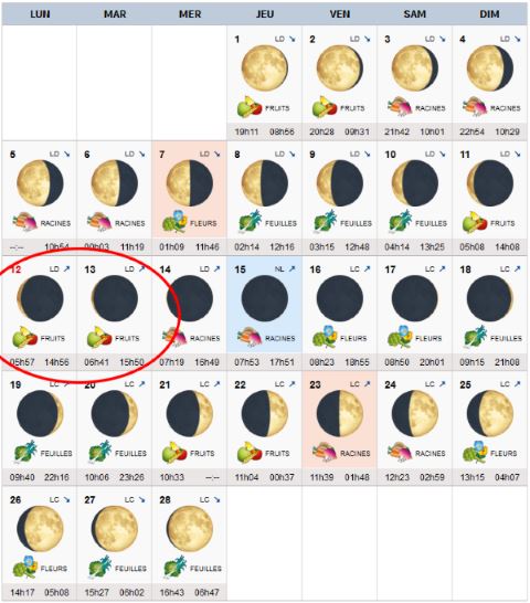 dates favorables aux semis en février 2018