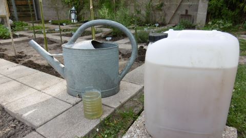 préparation de l'arrosoir