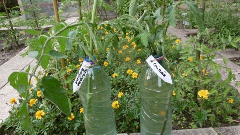 gourmands en bouteille