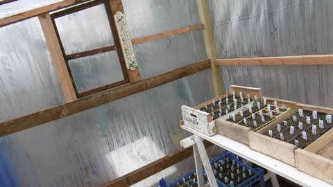 en serre extérieure