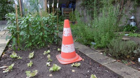 cône de sécurité routière contre les rhinocéros et les éléphants dans les potagers