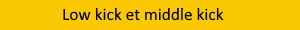 Low kick et middle kick