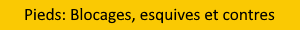 Pieds: Blocages, esquives et contres