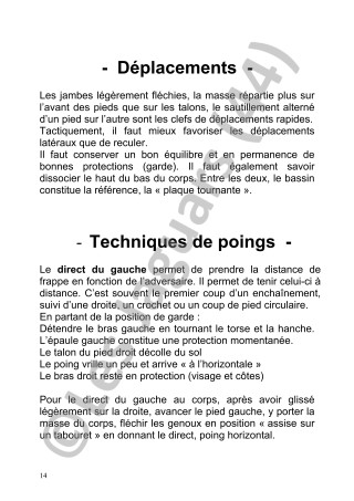 Fascicule 2005 de Kickboxing des Jaguars