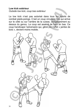 Fascicule 2005 de Kickboxing des Jaguars