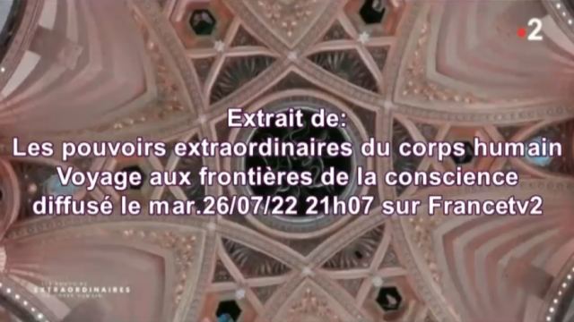 psilocybine et Alzheimer