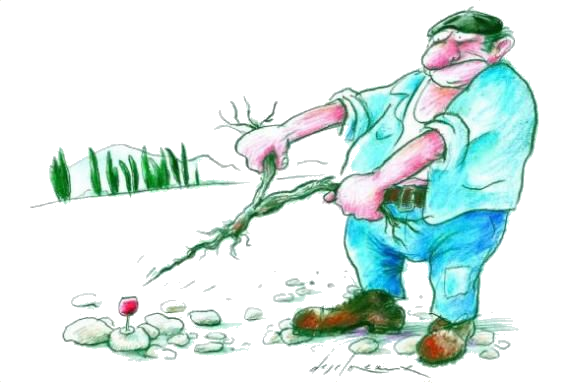 recherche par un sourcier