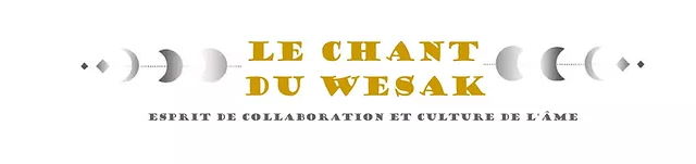 site de Aline Méchinaud