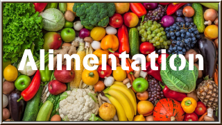 Alimentation
