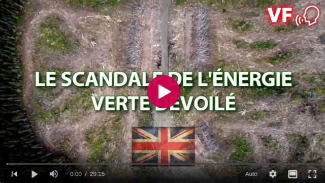 On détruit la forêt primaire