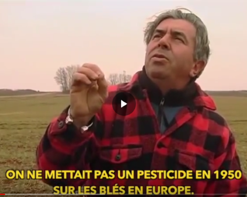 Revitalisation biologique des sols