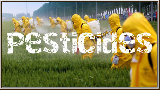 Pesticides