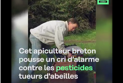 Un apiculteur lance un message d'alerte