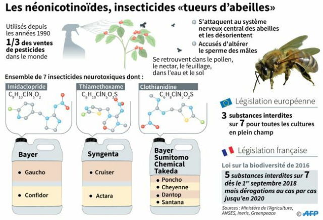 insecticides-tueurs-d-abeilles