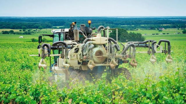 effet cocktail de pesticides